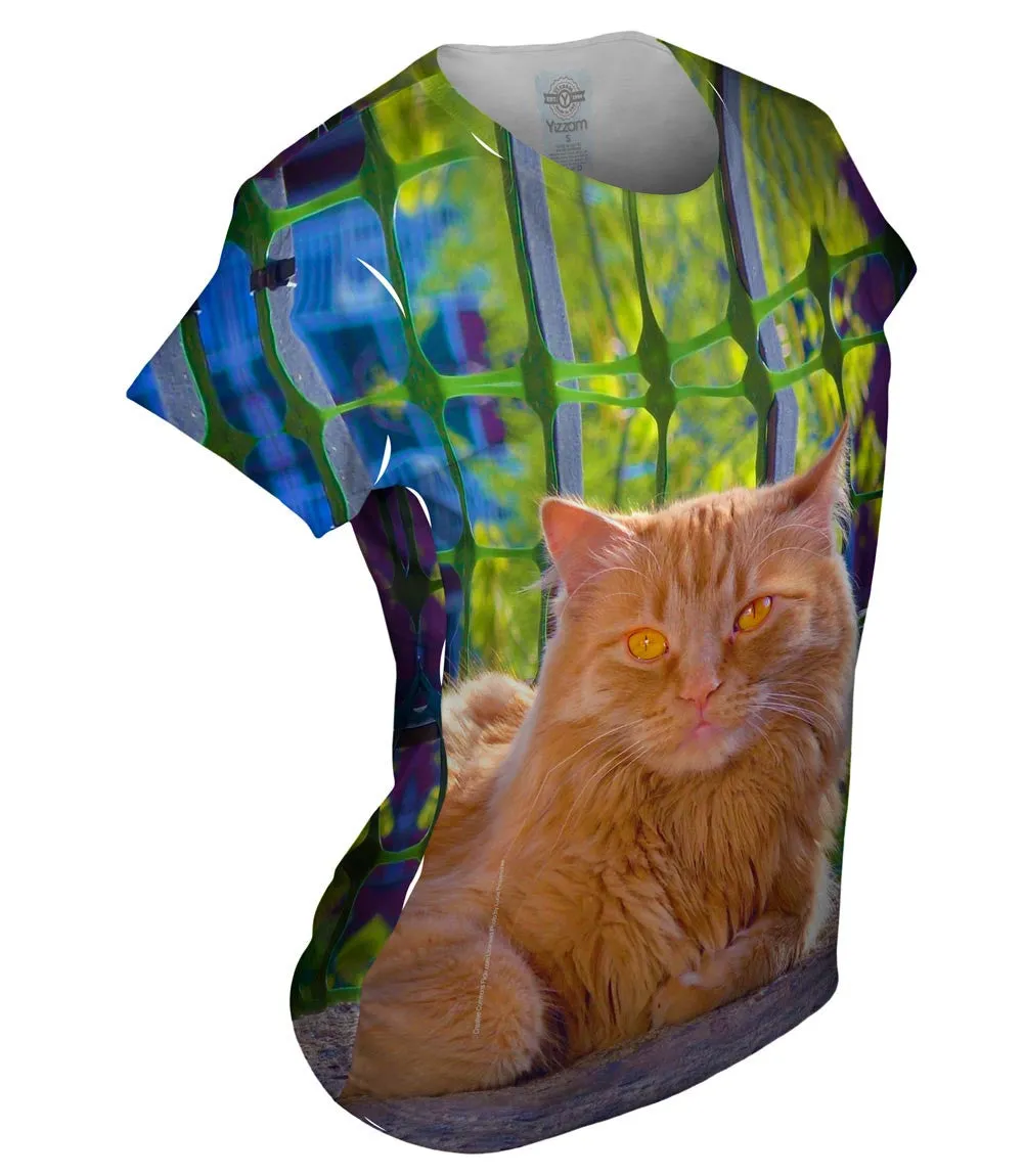 Distinguished Cat
