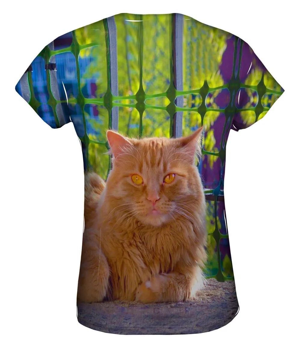 Distinguished Cat